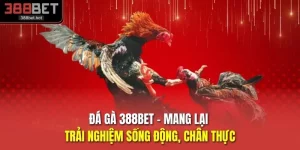Đá Gà 388BET - Mang Lại Trải Nghiệm Sống Động, Chân Thực