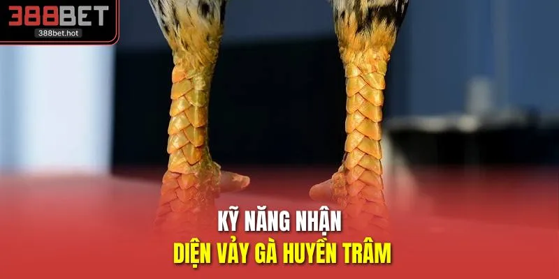Kỹ năng nhận diện vảy gà huyền trâm 