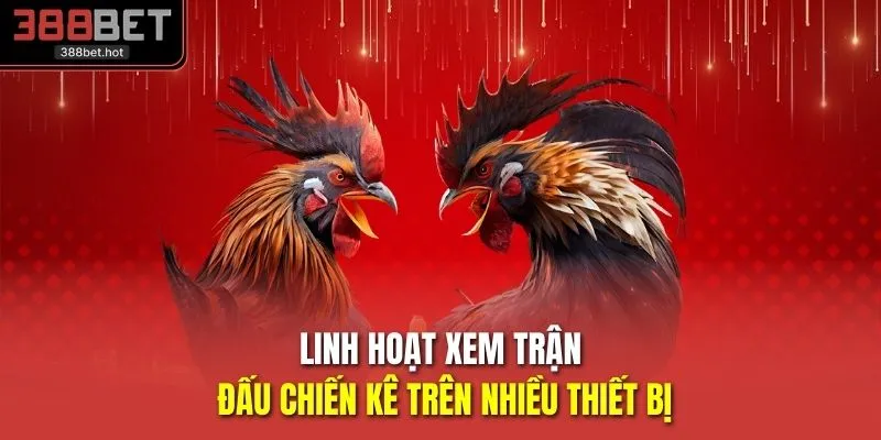 Linh hoạt xem trận đấu chiến kê trên nhiều thiết bị