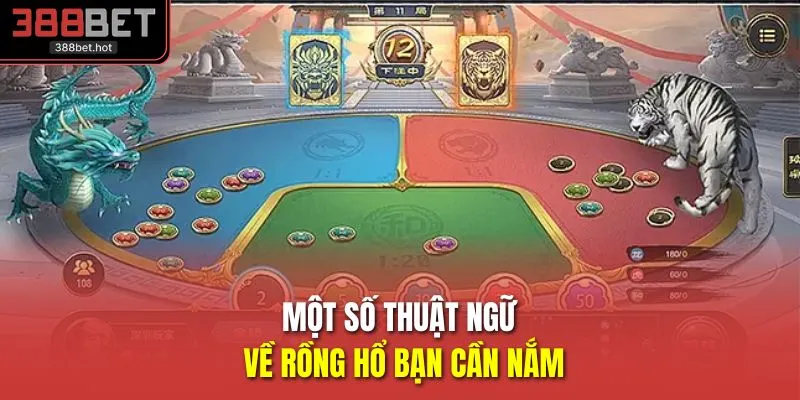 Một số thuật ngữ về rồng hổ bạn cần nắm