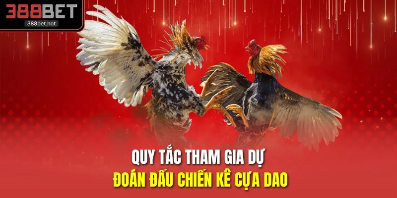 Quy tắc tham gia dự đoán đấu chiến kê cựa dao 