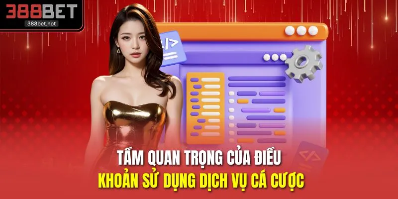 Tầm quan trọng của điều khoản sử dụng dịch vụ cá cược