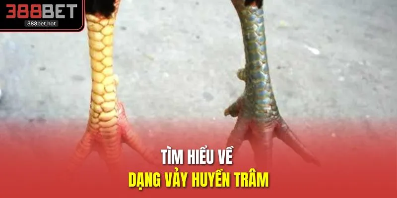 Tìm hiểu về dạng vảy huyền trâm