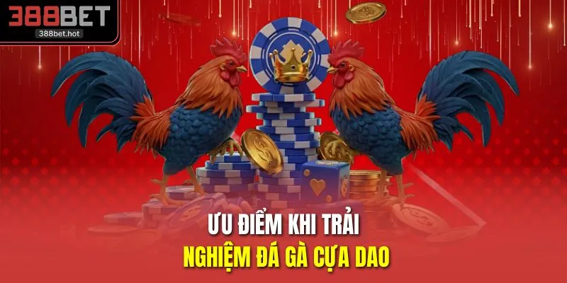 Ưu điểm khi trải nghiệm đá gà cựa dao 